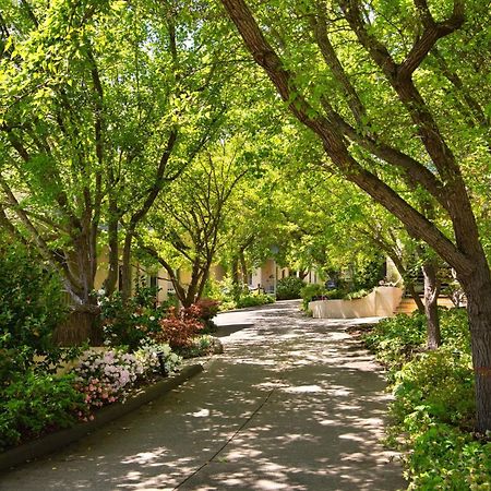 דיילספורד Villa Sorelle מראה חיצוני תמונה