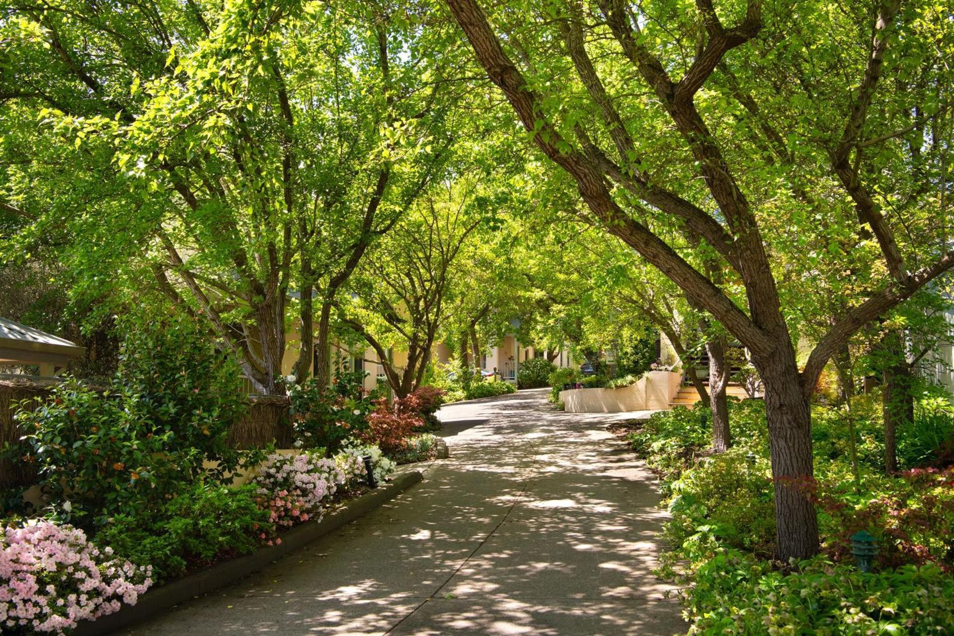 דיילספורד Villa Sorelle מראה חיצוני תמונה